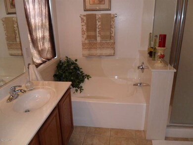 Master Bath Tub & Shower