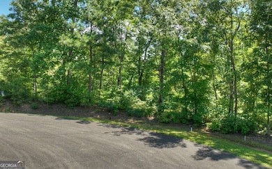 139 Whispering Ridge Ct, Ellijay, GA 30540 - photo 3