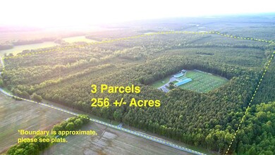 19003 Comans Well Rd, Yale, VA 23897 - photo 4