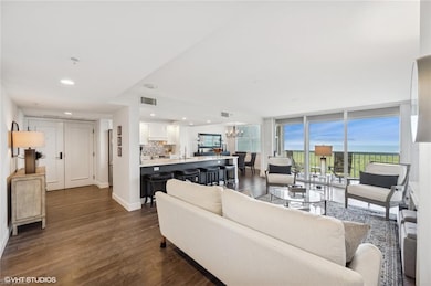 Living room with sink, dark wood-type flooring, an