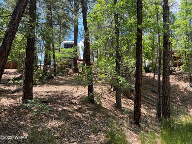 Pines and oak