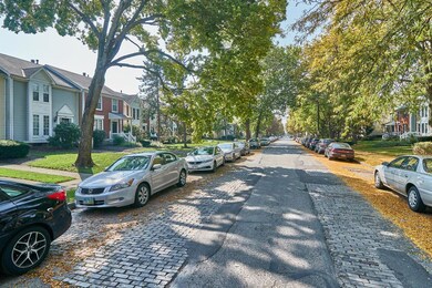 tree lined street
