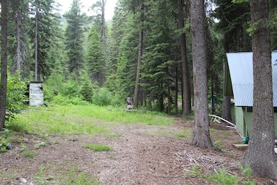 Your Own Forested Lot With Creek Frontage