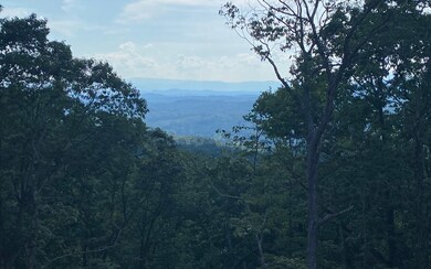 Additional View