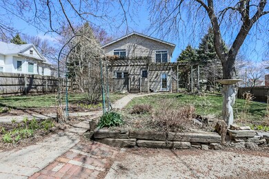 Back Yard!