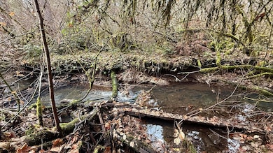 431 Red Blanket Rd, Prospect, OR 97536 - photo 5