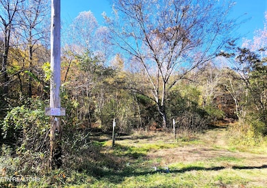 0 Sweetwater Vonore Rd unit 1321362, Sweetwater, TN 37874 - photo 5