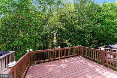 205 Blueberry Ct, Stafford, VA 22554 - photo 2