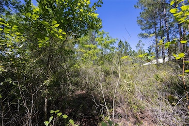 0 NE 108th Ave unit MFRGC522398, Waldo, FL 32694 - photo 3