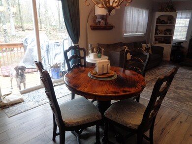 196 Spruce Run Dr, Dingmans Ferry, PA 18328 - photo 7