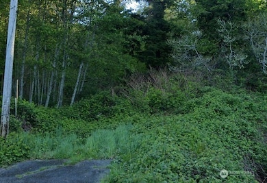 0 Cosgrove St unit NWM2403284, Hoquiam, WA 98550 - photo 2