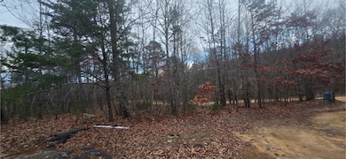 827 Dale Trail, Menlo, GA 30731 - photo 4