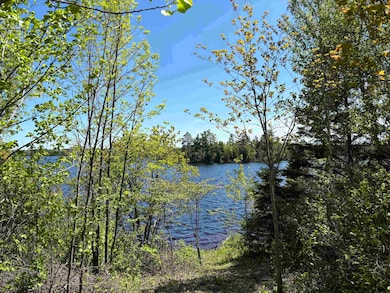 Unit 2 Fernberg Rd, Fall Lake Township, MN 55731 - photo 2