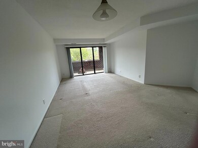 The Astoria unit 201, Arlington, VA 22201 - photo 4