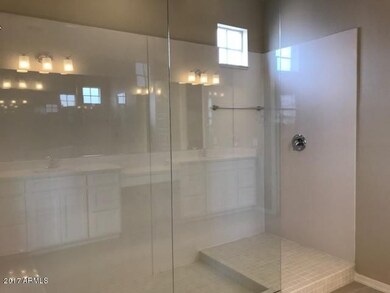 Huge Walk-In Master Shower