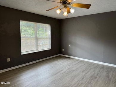 238 Gray Slate Cir, Sevierville, TN 37876 - photo 6