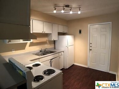 1245 N Lbj Dr unit A, San Marcos, TX 78666 - photo 2