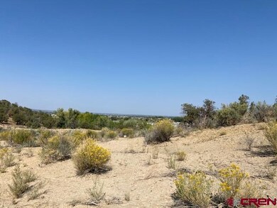TBD U S 160, Cortez, CO 81321 - photo 4
