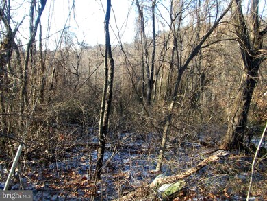 0 Cardinal Dr unit VAWR139136, Front Royal, VA 22630 - photo 3