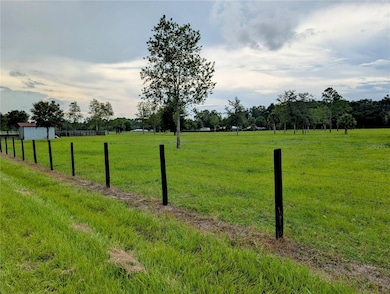 0 Peterson Rd, Pierson, FL 32180 - photo 4