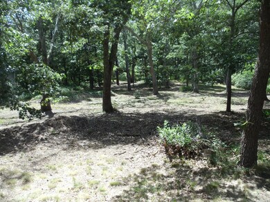 00 Winyah Cir, Tisbury, MA 02568 - photo 5