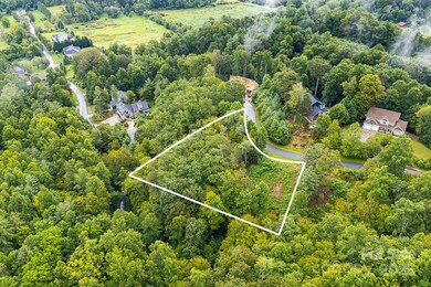 9999 Sovereign Ln unit 20, Fairview, NC 28730 - photo 3