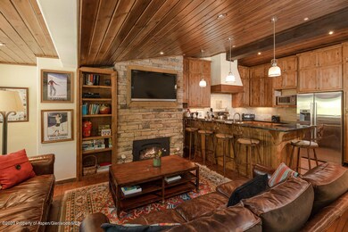 718 S Mill St unit 4, Aspen, CO 81611 - photo 4