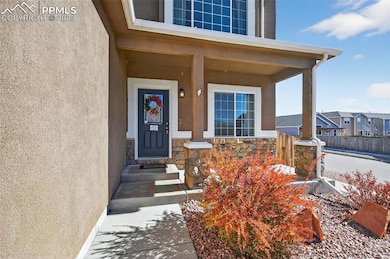 7913 Dry Willow Way, Colorado Springs, CO 80908 - photo 3