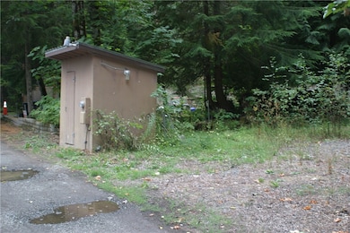 50721 SE EnuMcLaw Chinook Pass Rd, Enumclaw, WA 98022 - photo 3