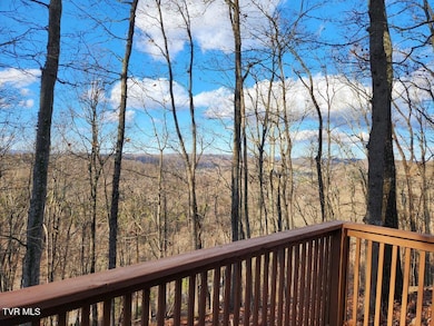 524 Haven Dr, Kingsport, TN 37663 - photo 4