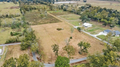 LOT 45-A St Elmo Rd, Darrow, LA 70774 - photo 3