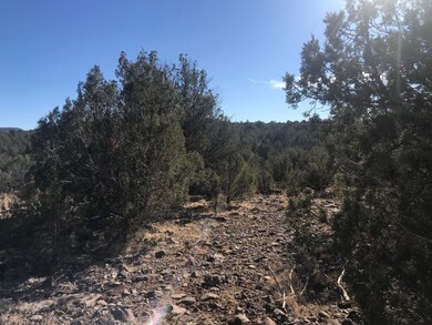 9605 W Big Moon Ln, Ash Fork, AZ 86320 - photo 7