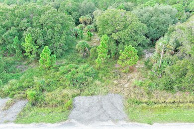 350 S Olivo St, Montura, FL 33440 - photo 6