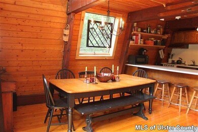 50 Clearview Rd, Hunter, NY 12442 - photo 6