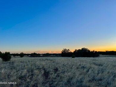 IMG_6533 2