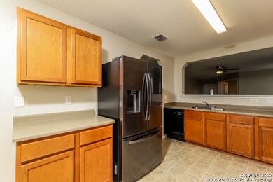 24734 Magnolia Falls, San Antonio, TX 78261 - photo 5