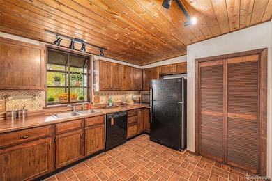 26003 Morris Ave, Conifer, CO 80433 - photo 5