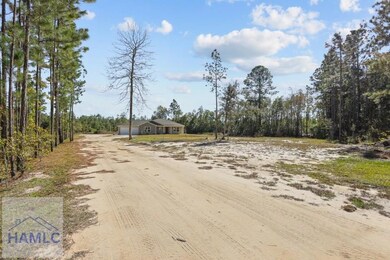 192 Hummingbird Ln, Jesup, GA 31545 - photo 3