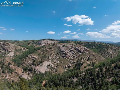 1151 Dandy Jim Dr, Cripple Creek, CO 80813 - photo 4