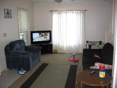 602 S Cherry St, Malden, IL 61337 - photo 5