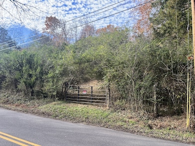 3371 Freeman Hollow Rd, Nashville, TN 37072 - photo 2