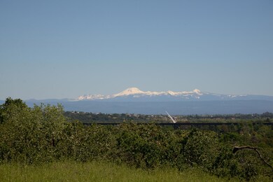 Sundial Bridge View