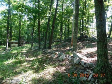 0 Rt 9 W unit 1001953478, Paw Paw, WV 25434 - photo 7