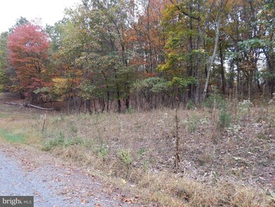 29A Holly Hill Ln, Berkeley Springs, WV 25411 - photo 3