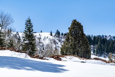 7_Lot-View_1800x1200_3646541