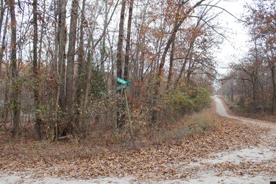 63 Flintridge Ct, Mountain Home, AR 72653 - photo 6