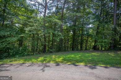 Lot 104 Mountain Creek Hollow Dr, Talking Rock, GA 30175 - photo 6