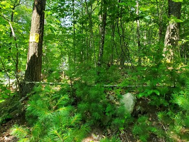 Lot 30 Middle Rd, Waterboro, ME 04087 - photo 5