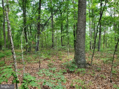 0 Vacation Way unit WVBE2021136, Hedgesville, WV 25427 - photo 6