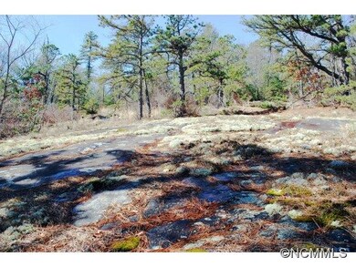 Moss covered Granite